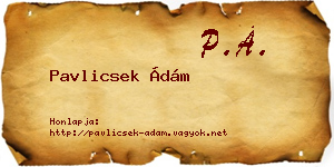 Pavlicsek Ádám névjegykártya