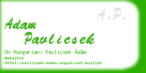 adam pavlicsek business card