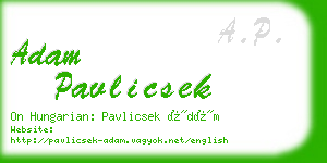 adam pavlicsek business card